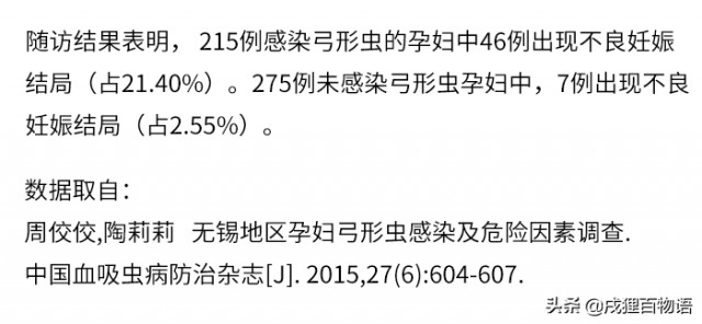 怀孕期间养宠物有多危险？专业资料揭示真相